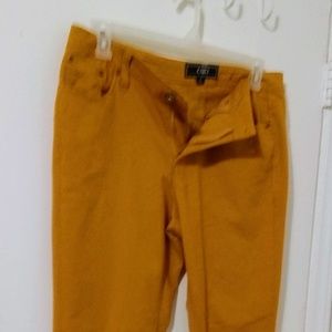 CATO straight leg pant